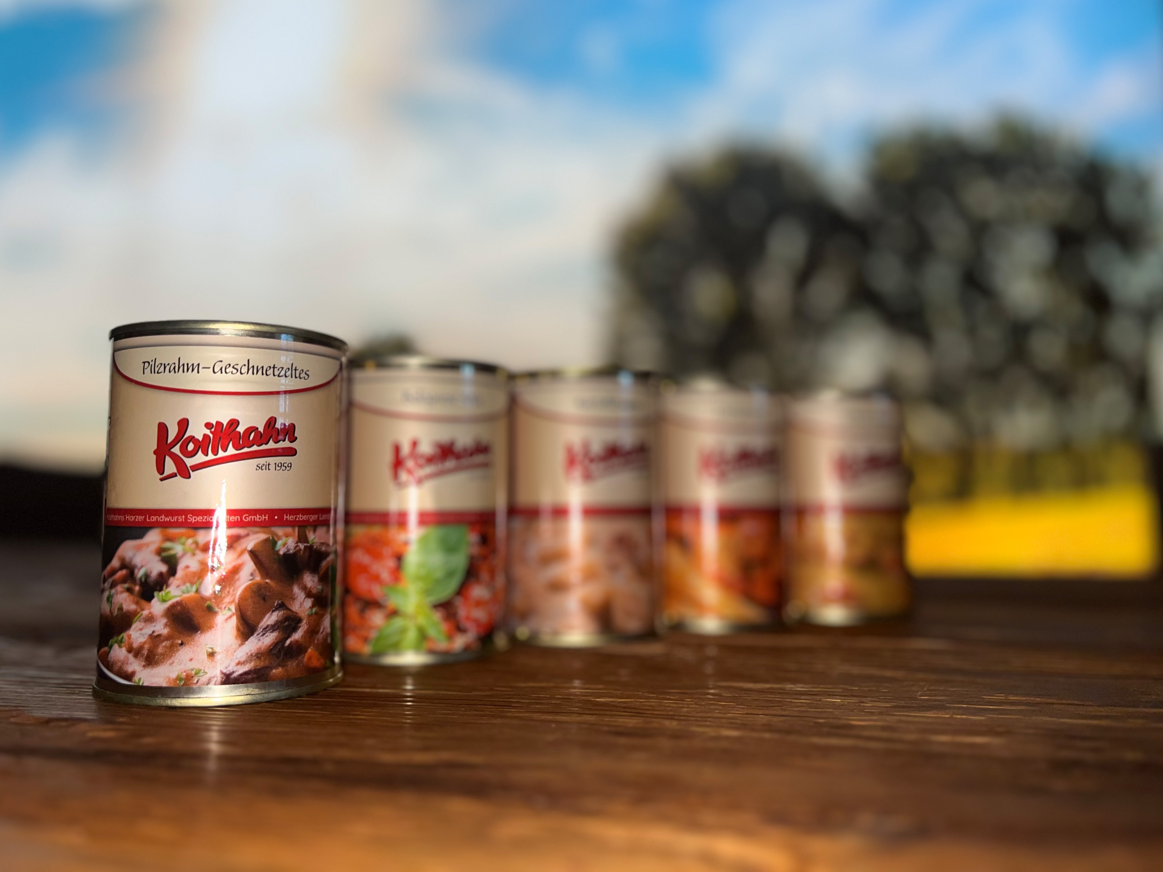 Pilzrahm-Geschnetzeltes in der Dose